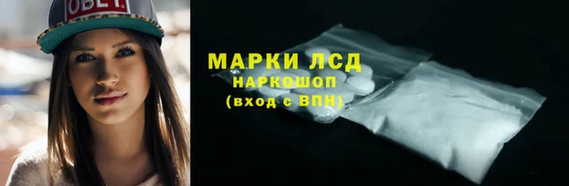 мяу мяу мука Абдулино