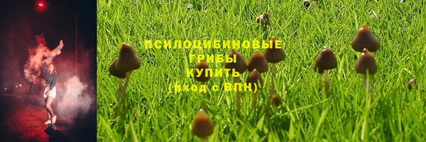 мяу мяу мука Абдулино