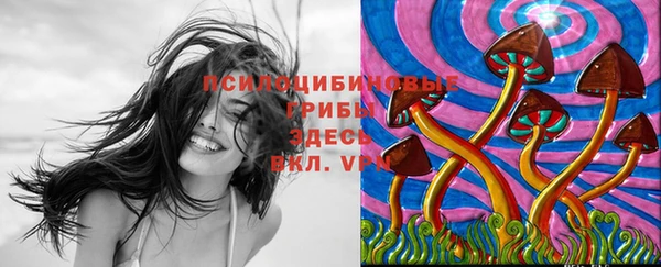 мяу мяу мука Абаза
